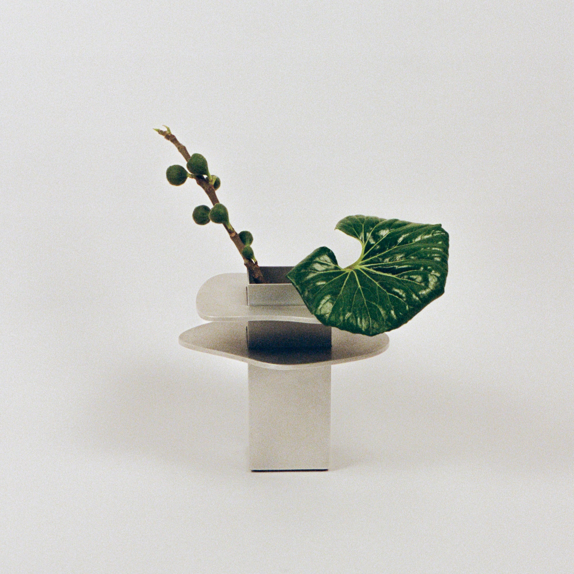 Flange Vase
